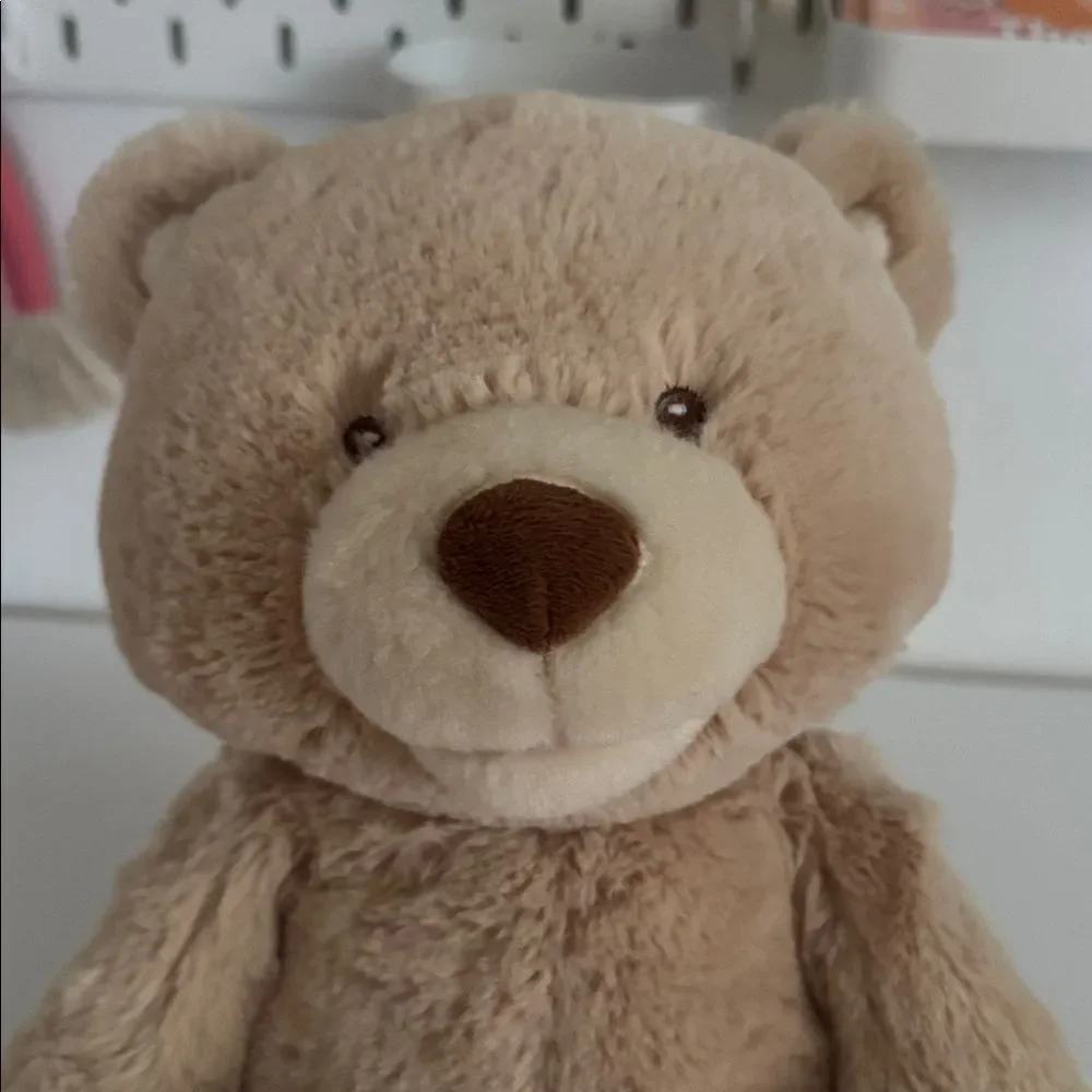 Gund Beige Teddy Bear with Soft Blanket EUC